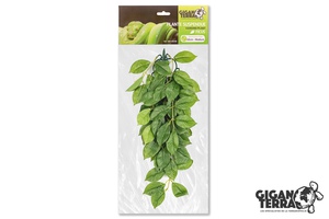 Plante suspendue Ficus - 45 CM