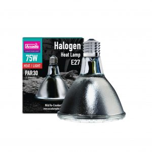 Ampoule chauffante halogène 75w
