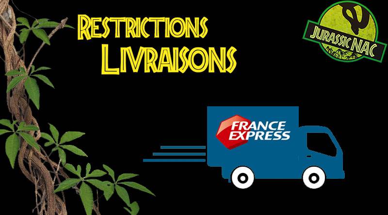 Restrictions France express