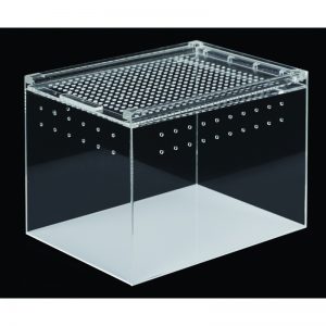 Terrarium acrylique 15x20x15