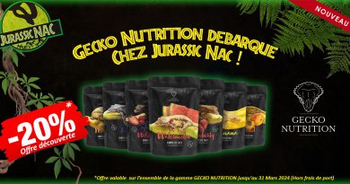 Nouveau : Gecko Nutrition