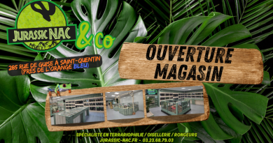 Nouveau  magasin !!!