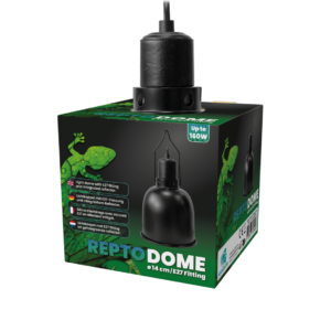 Dôme - Repto