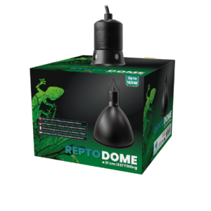 Dôme  - Repto - 21 cm