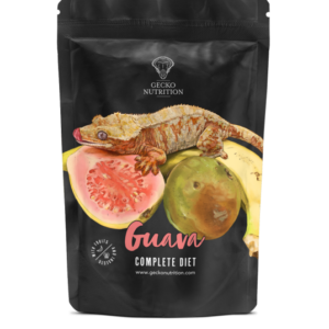Gecko nutrition Goyave