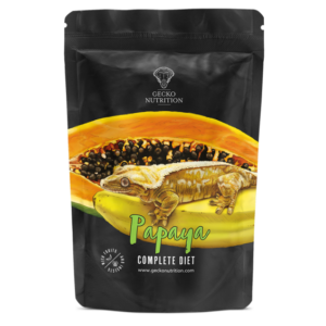 Gecko nutrition Papaye