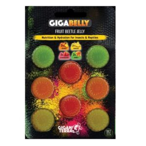 fruit beetle jelly - Gigabelly