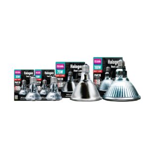 Halogen Heat lamp - Arcadia