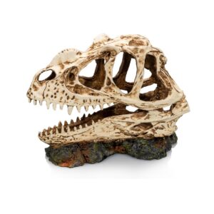 Socle dinosaure - Giganterra