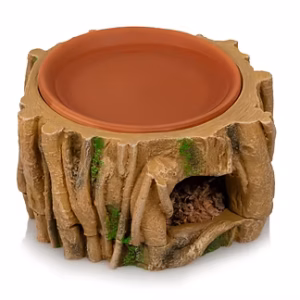 Cachette humidité