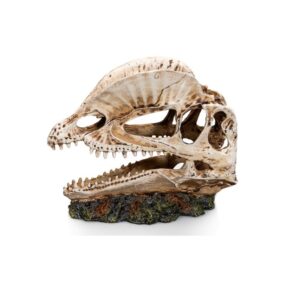 Socle dinosaure - Giganterra