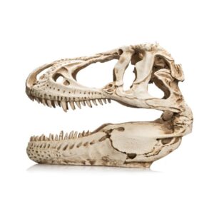 T-rex XXL - Giganterra