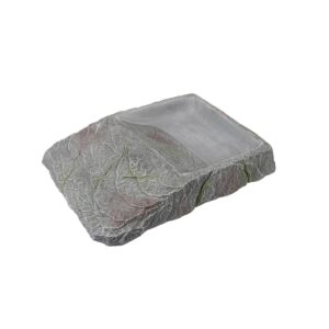 Gamelle rock tortue - Terra Della