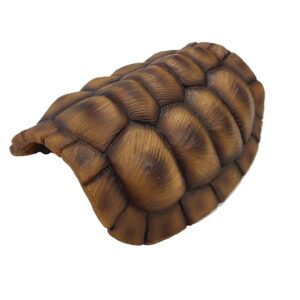 Cachette tortoise - Giganterra
