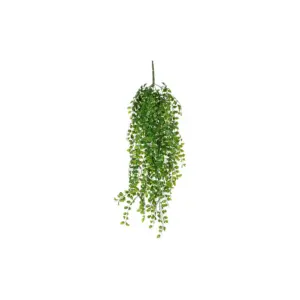 Ficus à suspendre - Mica