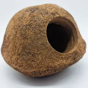 Cachette Gaia 15 cm - Eublepharis