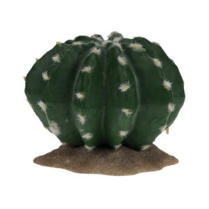 Echinocactus 2 vert - TerraDella