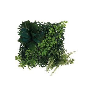 Fond Reptoplant