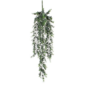 Eucalyptus à suspendre - Mica