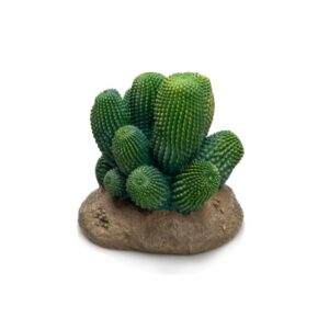 Cactus - Giganterra