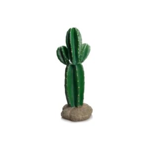 Cactus - Giganterra
