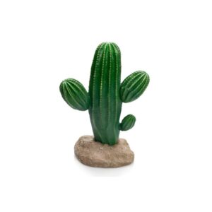 Cactus - Giganterra
