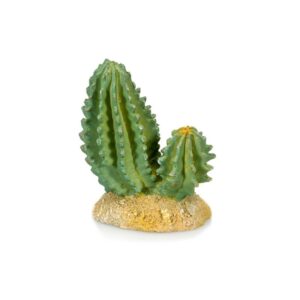Cactus - Giganterra