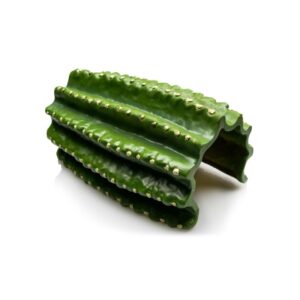 Grotte cactus - Giganterra