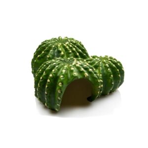 Grotte cactus - Giganterra