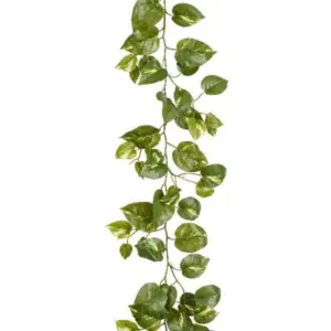 Guirlande pothos - Mica