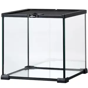 Reptile glass - Reptizoo