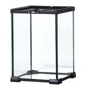 Reptile glass - Reptizoo