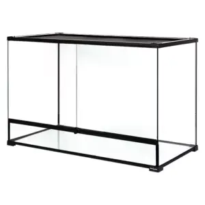 Reptile glass - Reptizoo