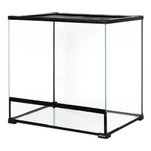 Reptile glass - Reptizoo