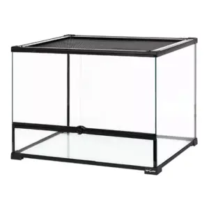 Reptile glass - Reptizoo