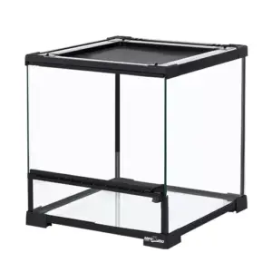 Reptile glass - Reptizoo