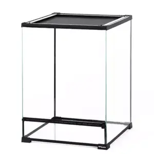 Reptile glass - Reptizoo