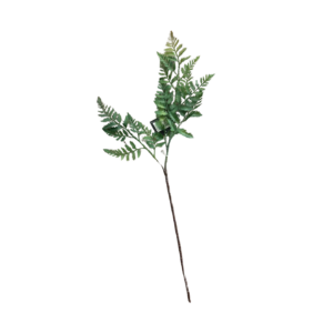 Feuille fougère verte - Mica
