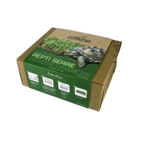Repti serre - Reptiles-planet