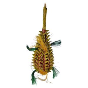 Ananas - Back zoo nature