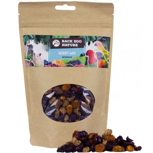 berry-mix-200g