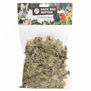 Mousse de branche - Back zoo nature