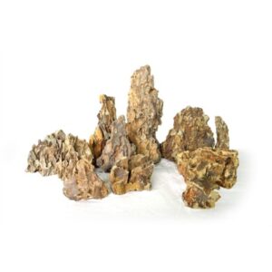 Dragon stone - AquaDéco