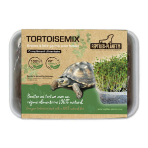 Tortoisemix - Reptiles-planet
