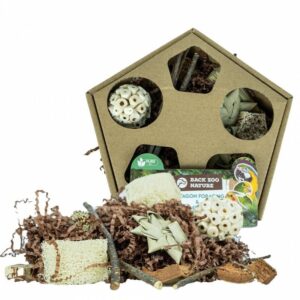 Jouet Pentagone de Recherche & Boite de Jeu - Back zoo nature