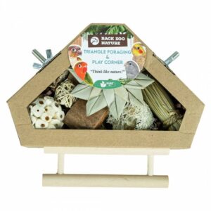 Jouet Triangle de Recherche & Boite de Jeu - Back zoo nature