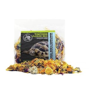 Tortoise flower mix - Komodo
