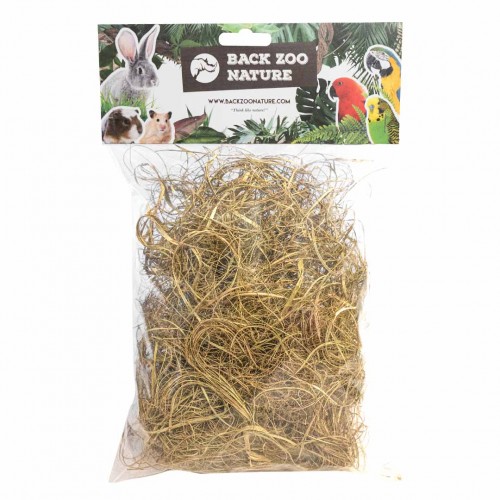 palm-grass