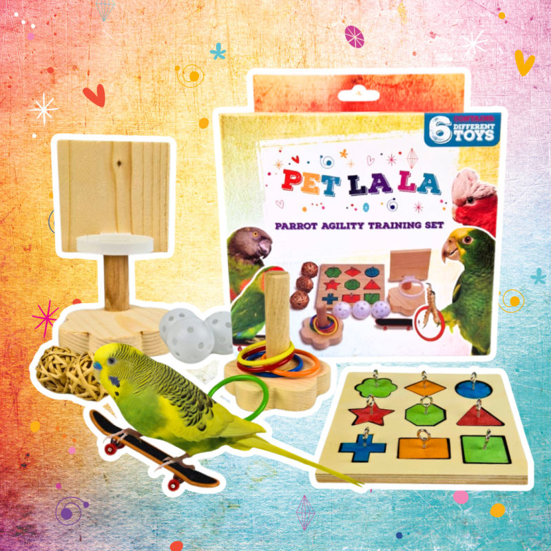 petlala-parrot-agility-training-set