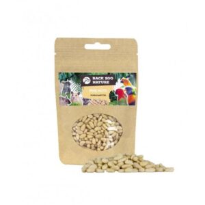 Pignons de pin- Back zoo nature